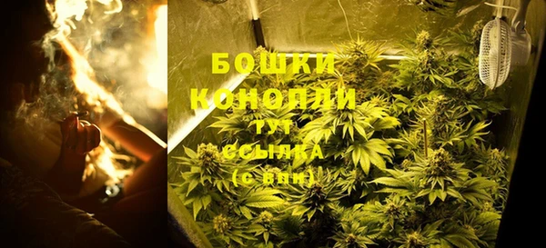 крисы Армянск