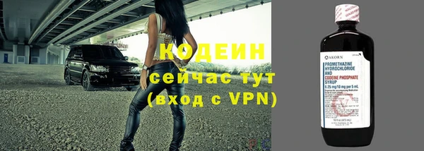крисы Армянск