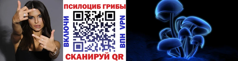 Галлюциногенные грибы Psilocybe  Багратионовск 